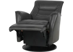 Paramount Leather Recliner