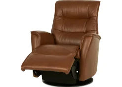 Paramount Leather Recliner