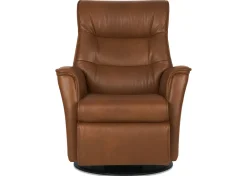 Paramount Power Recliner