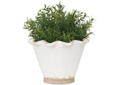 Ruffled Planter