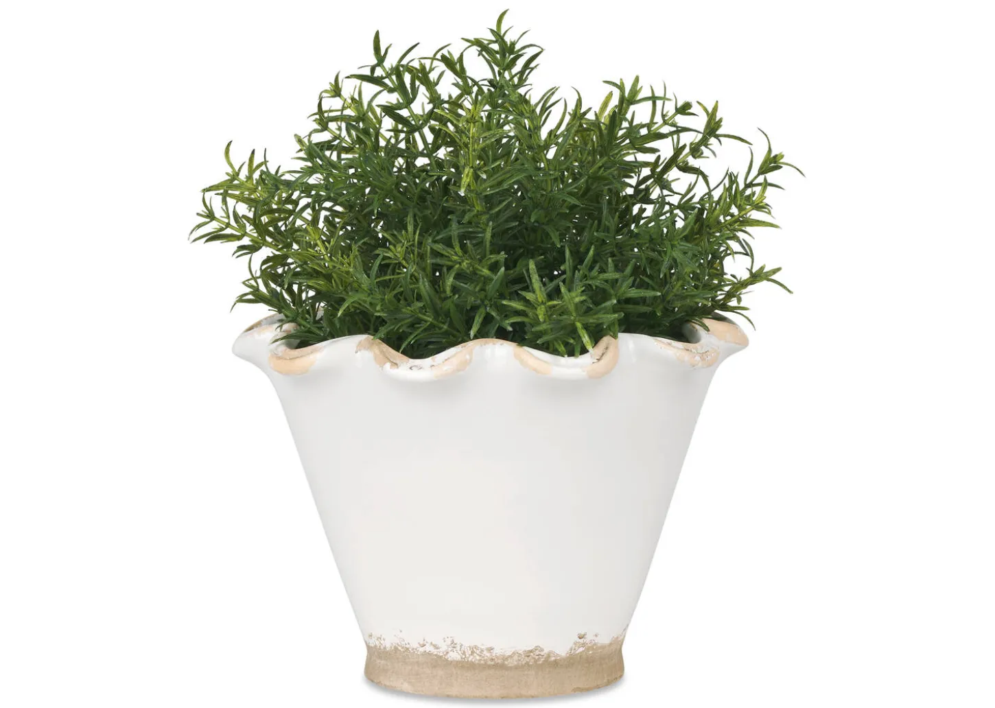 Ruffled Planter