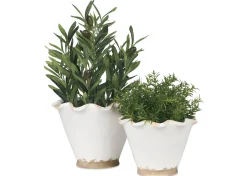 Ruffled Planter