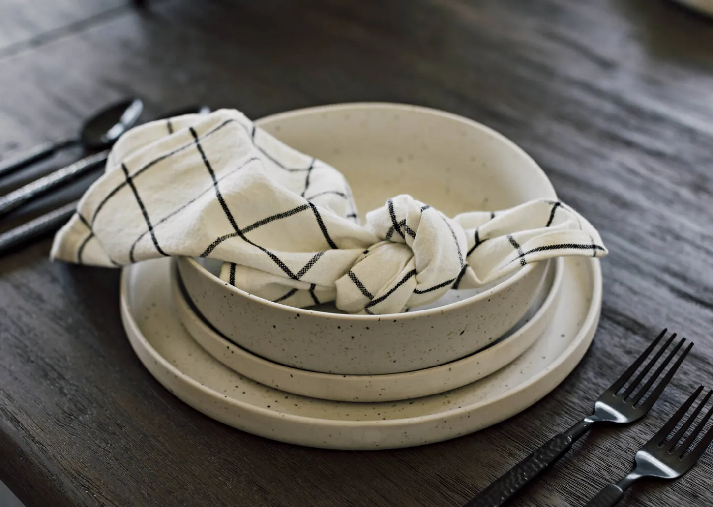 Saturna 16 piece Dish Set