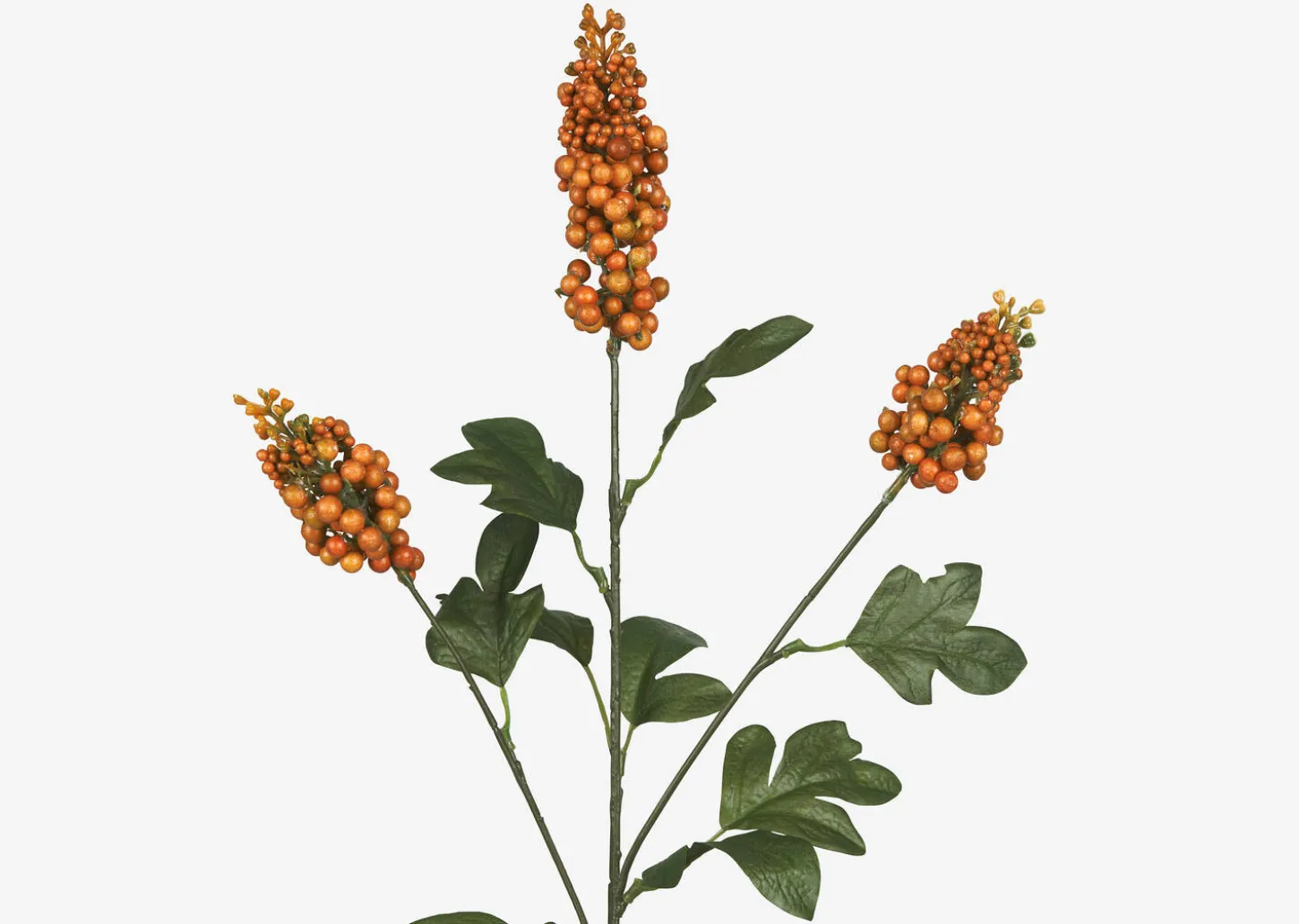 Scarlett Firethorn Stem Orange