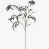 Shay Gumnut Leaf Branch