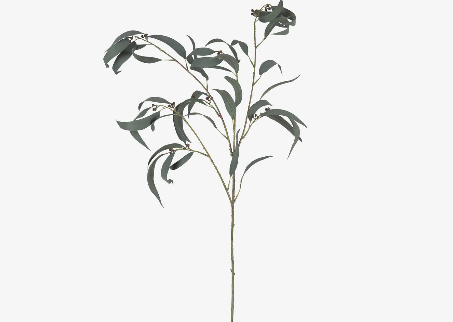 Shay Gumnut Leaf Branch