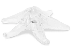 Starfish Decor Clear