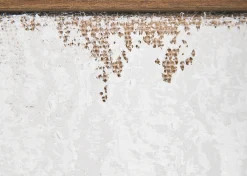 The Cove Wall Art