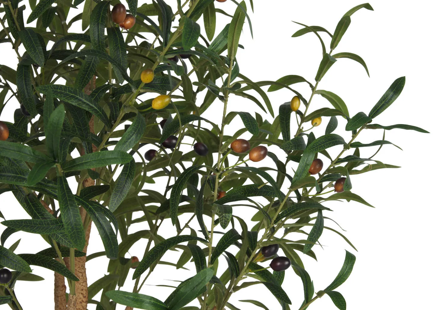 Tristin Olive Tree Potted Large