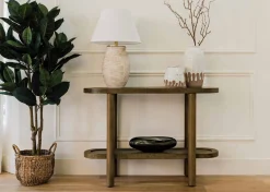 Troye Rubber Tree Potted