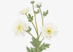 Vera Chrysanthemum Branch