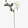 Wess Magnolia Stem