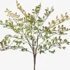 Wren Leaf Bush