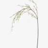 Yuri Forsythia Branch White